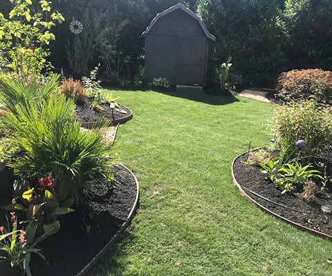 New Lawn Installation Services